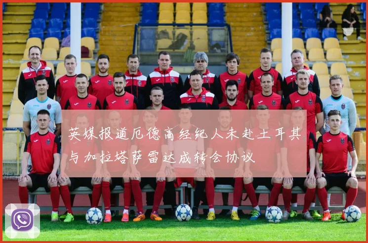 英媒报道厄德高经纪人未赴土耳其与加拉塔萨雷达成转会协议